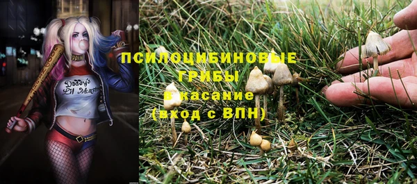 соль ск Арсеньев