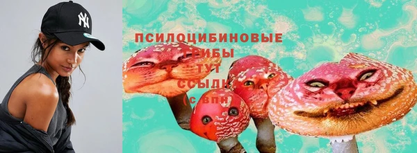ECSTASY Аркадак