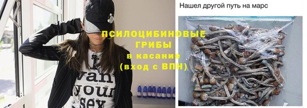 соль ск Арсеньев