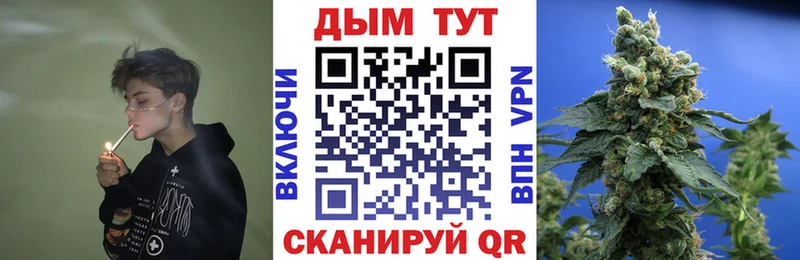 Конопля гибрид Багратионовск